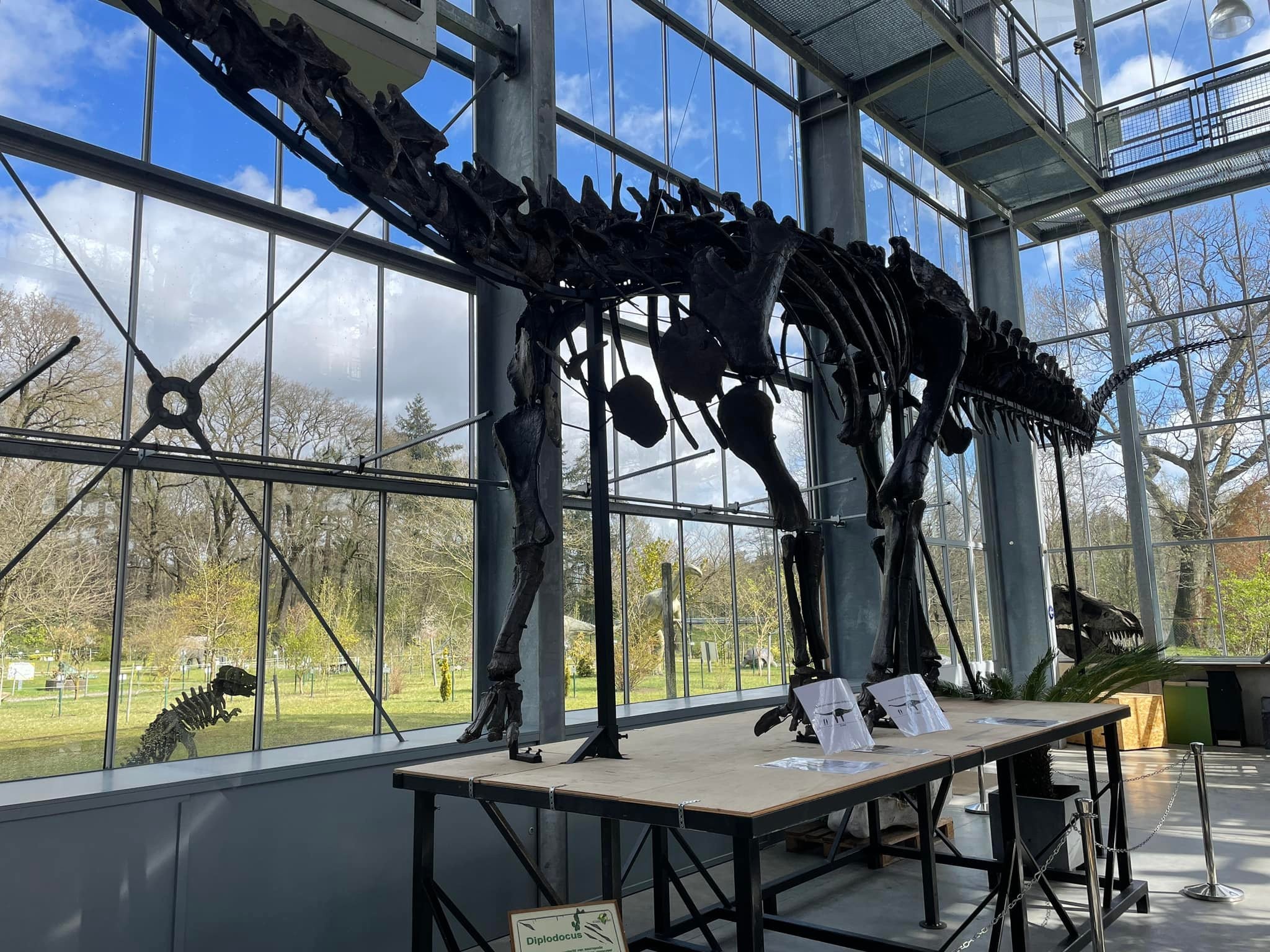 Lieferung KLEKSI an das Prähistorische Museum in Boxtel