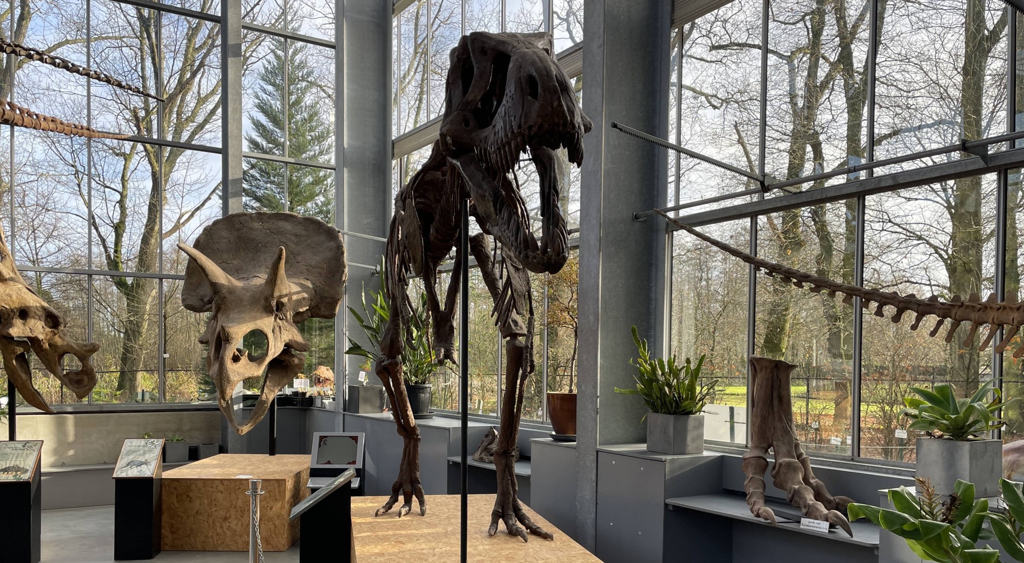 De voordelen van KLEKSI zijn heel groot voor ons museum, we kunnen zelf nieuwe velden toevoegen en daarnaast werkt het heel prettig en veel sneller dan onze oude database Jonathan Wallaard - Curator Oertijdmuseum - Boxtel
