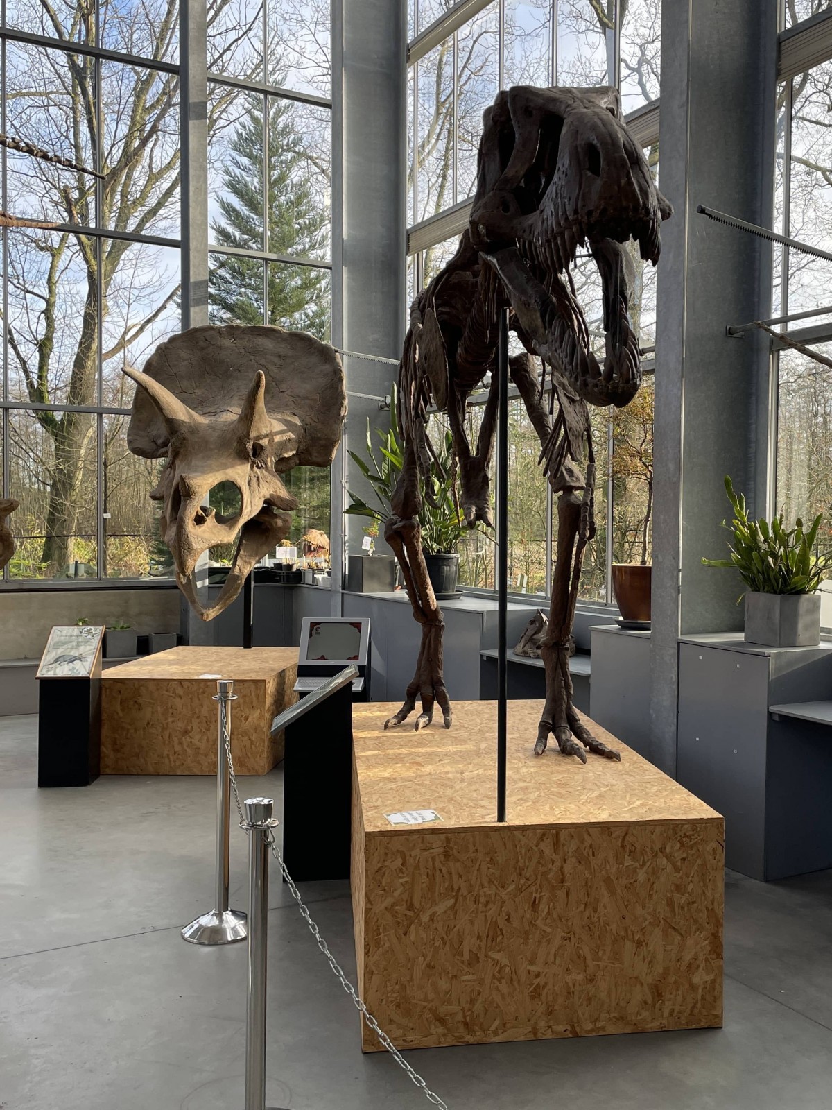 De voordelen van KLEKSI zijn heel groot voor ons museum, we kunnen zelf nieuwe velden toevoegen en daarnaast werkt het heel prettig en veel sneller dan onze oude database Jonathan Wallaard - Curator Oertijdmuseum - Boxtel